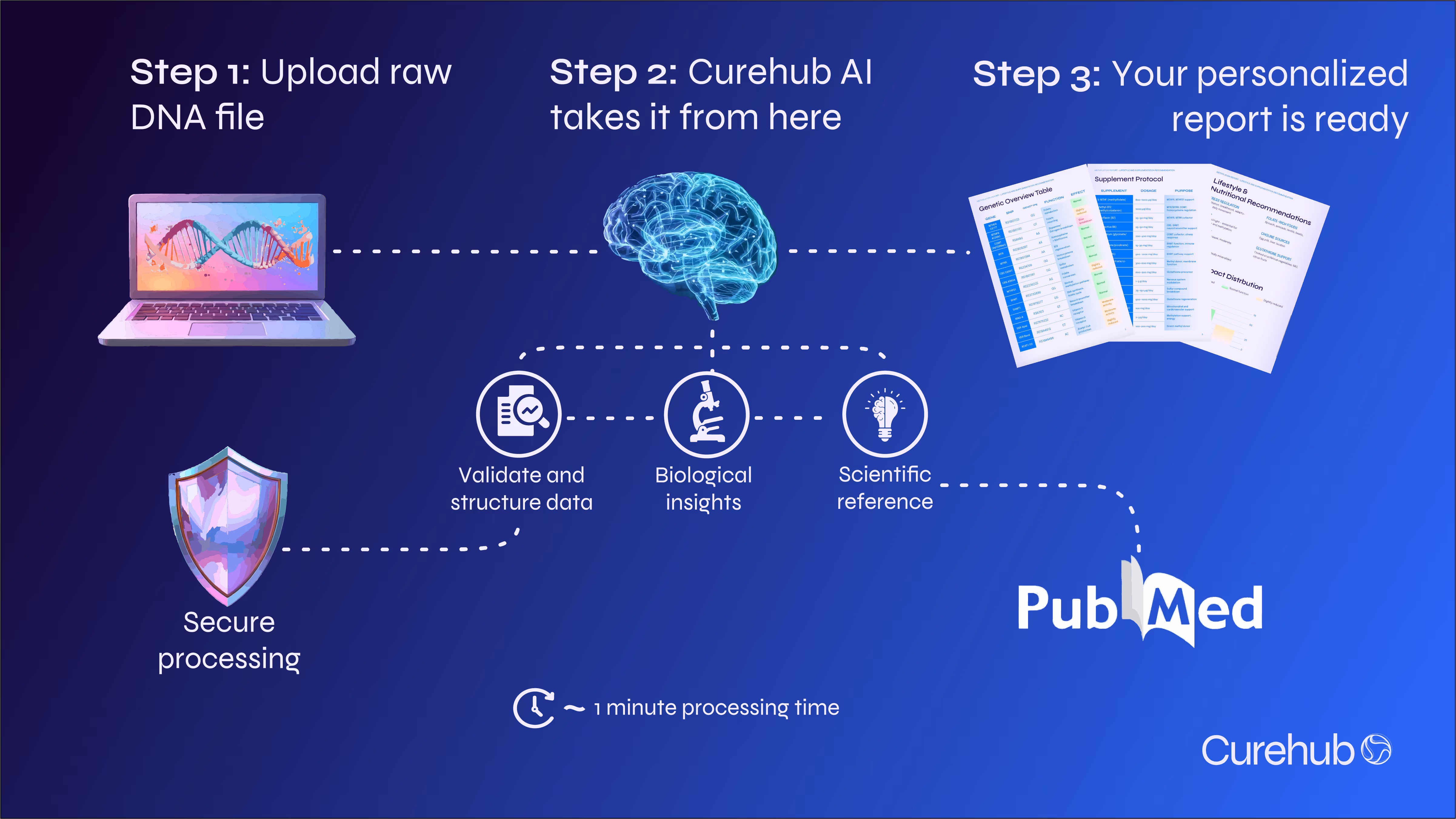 Diagram of the Curehub process, from raw DNA data to personalized supplement guidance